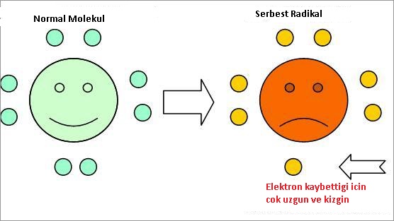 Radikal jpg. Radikal introspiktsionizmi. Radikal gif. E.titchenerning radikal introspiktsionizmi. Radikallar.